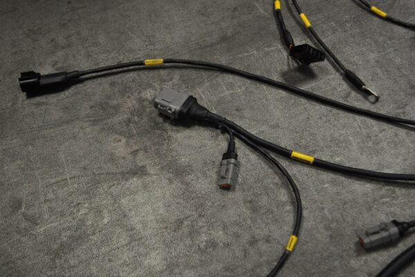 DSC_0029